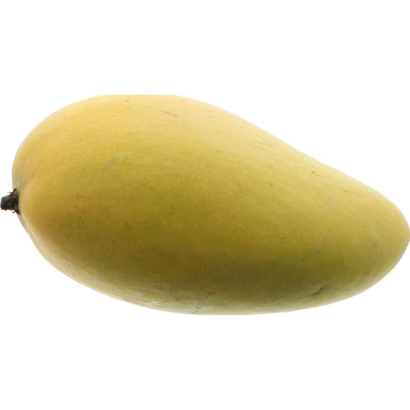 BIO MANGUE SAUVAGE ATAULFO 26PCS